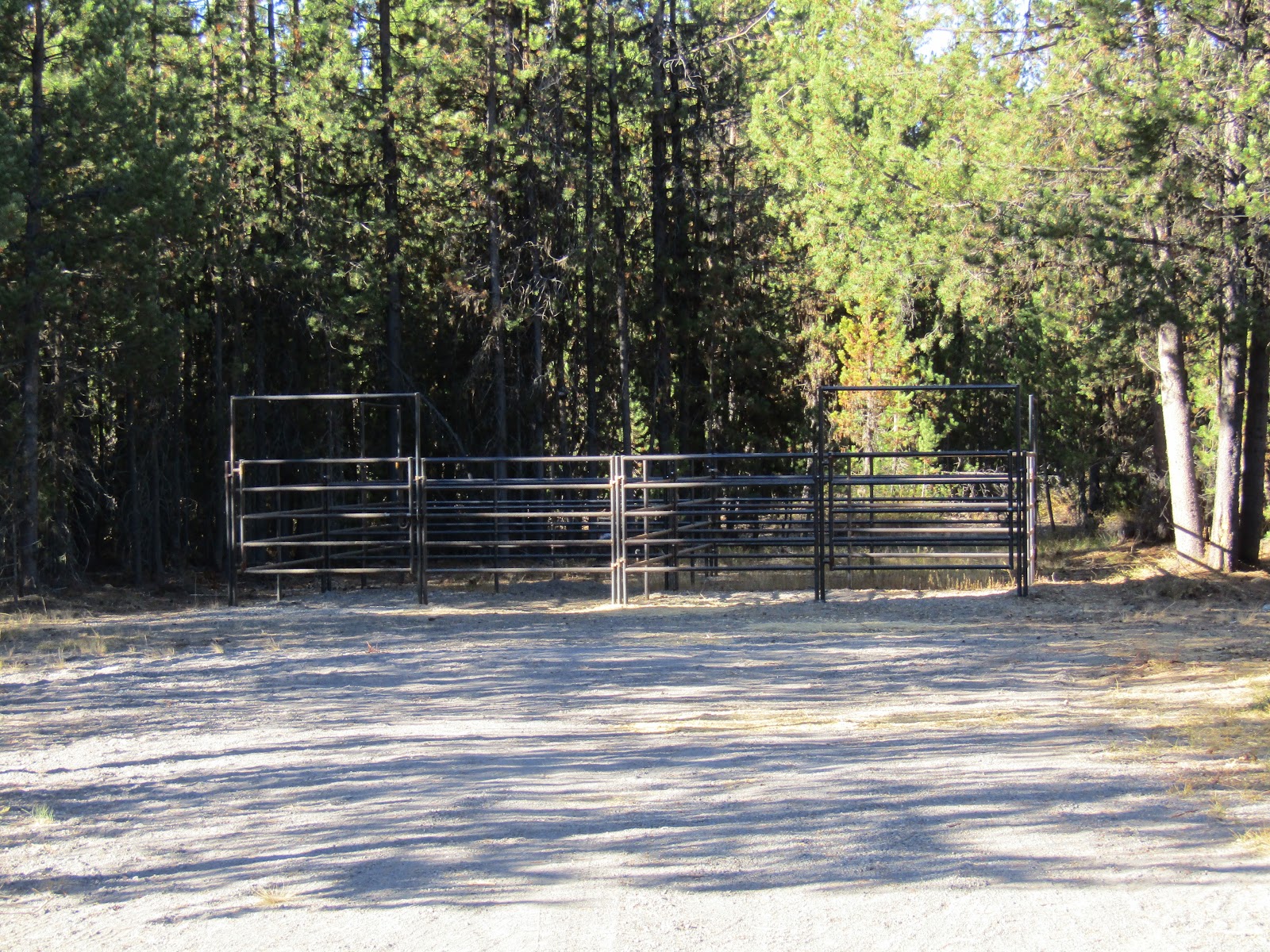 Holly's Horse Tales and Trails Cultus Corral Horse Camp, Three Sisters Wilderness, Oregon
