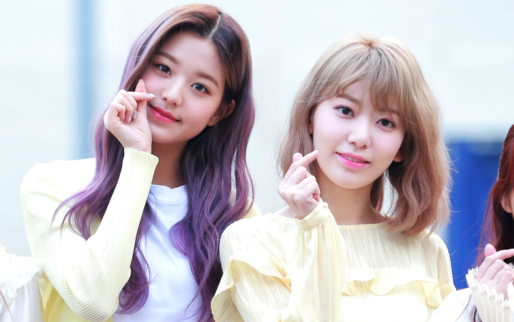 Jang Won Young grabs Miyawaki Sakura until it almost falls into a ...