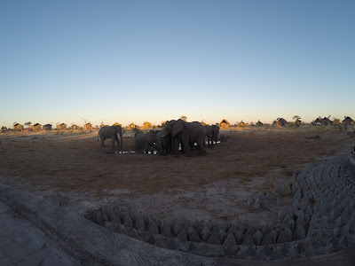 Día 13: De Kasane a Nata. Elephant Sands Lodge - Botswana y Cataratas Victoria. Viaje por libre de 19 dias (10)