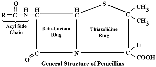 Penicillin.gif#s-639,275