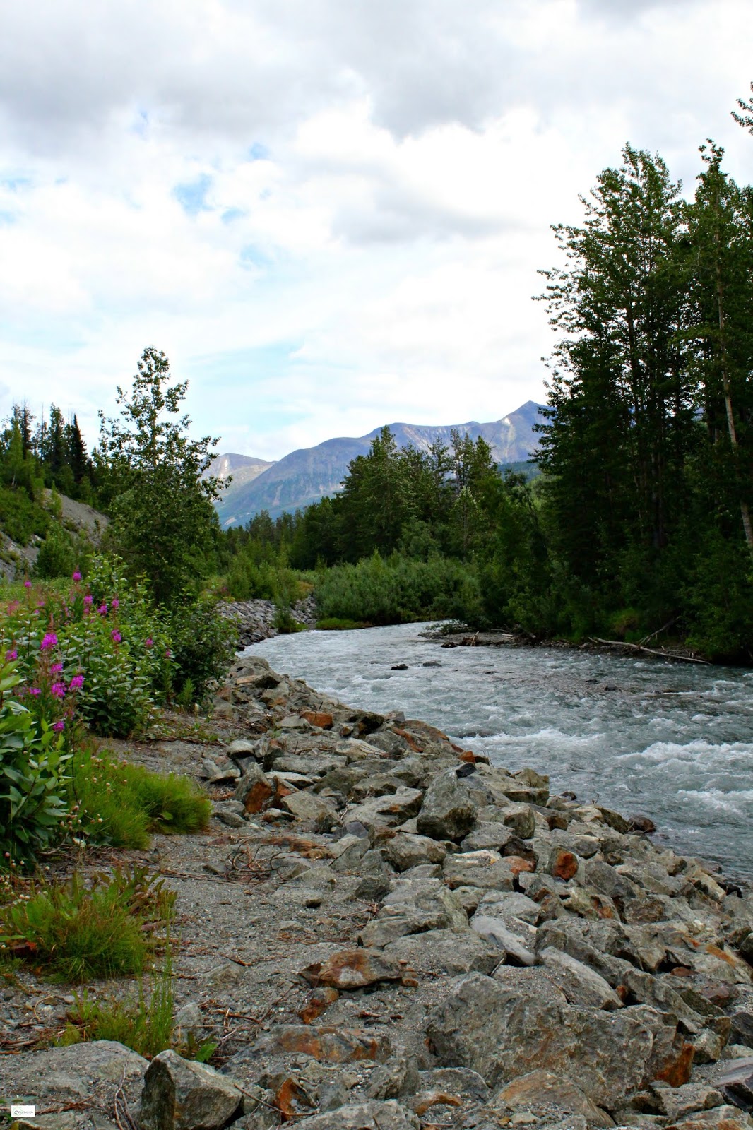 Klutina river Clearance