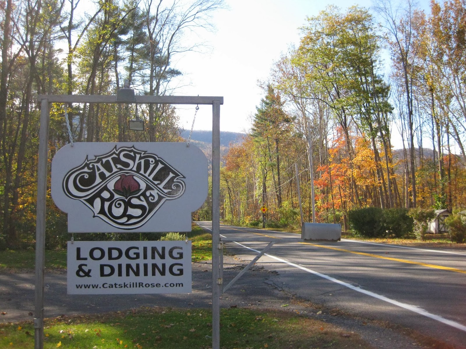 Have Ewe Any Wool? Catskill Rose