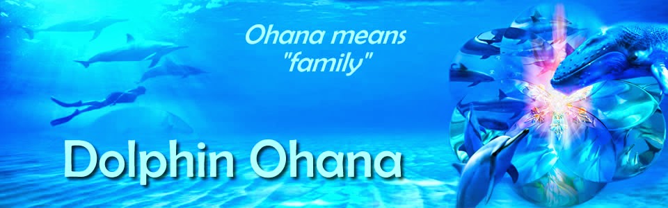 Dolphin Ohana