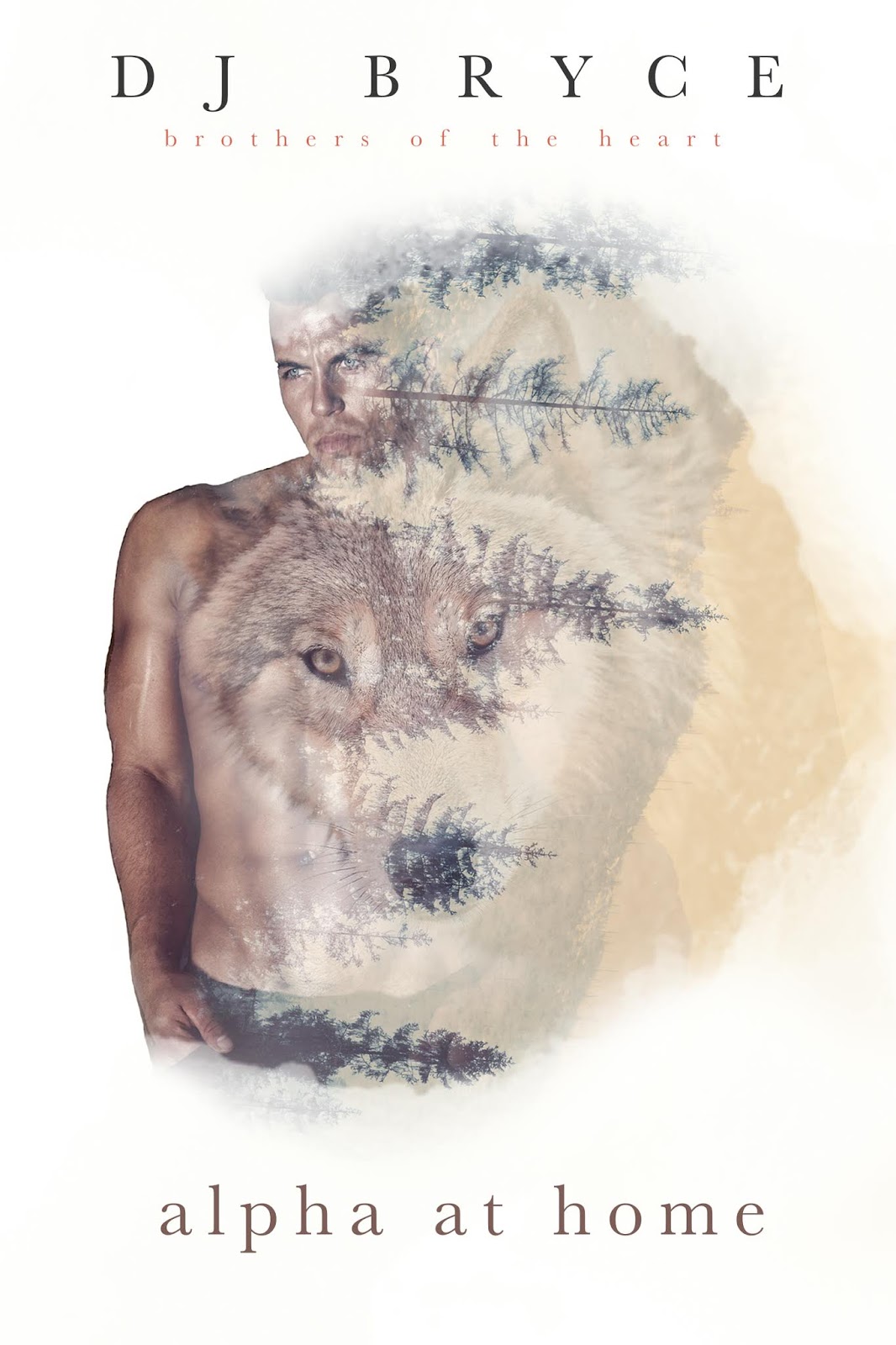 Bethany Lopez Writing as DJ Bryce Brothers of the Heart Series