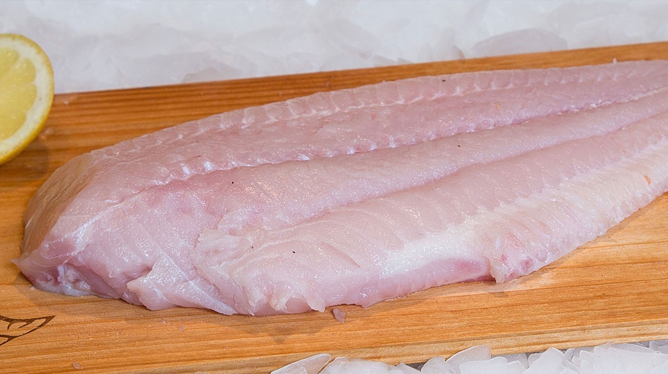 Catfish Supplier for Grocery Store Product Indonesia Catfish Supplier