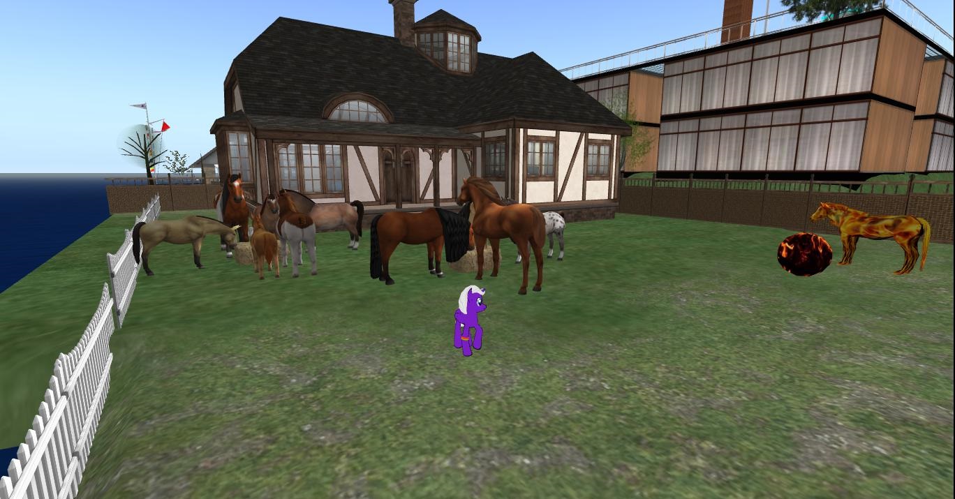 abc horses second life abc horses second life