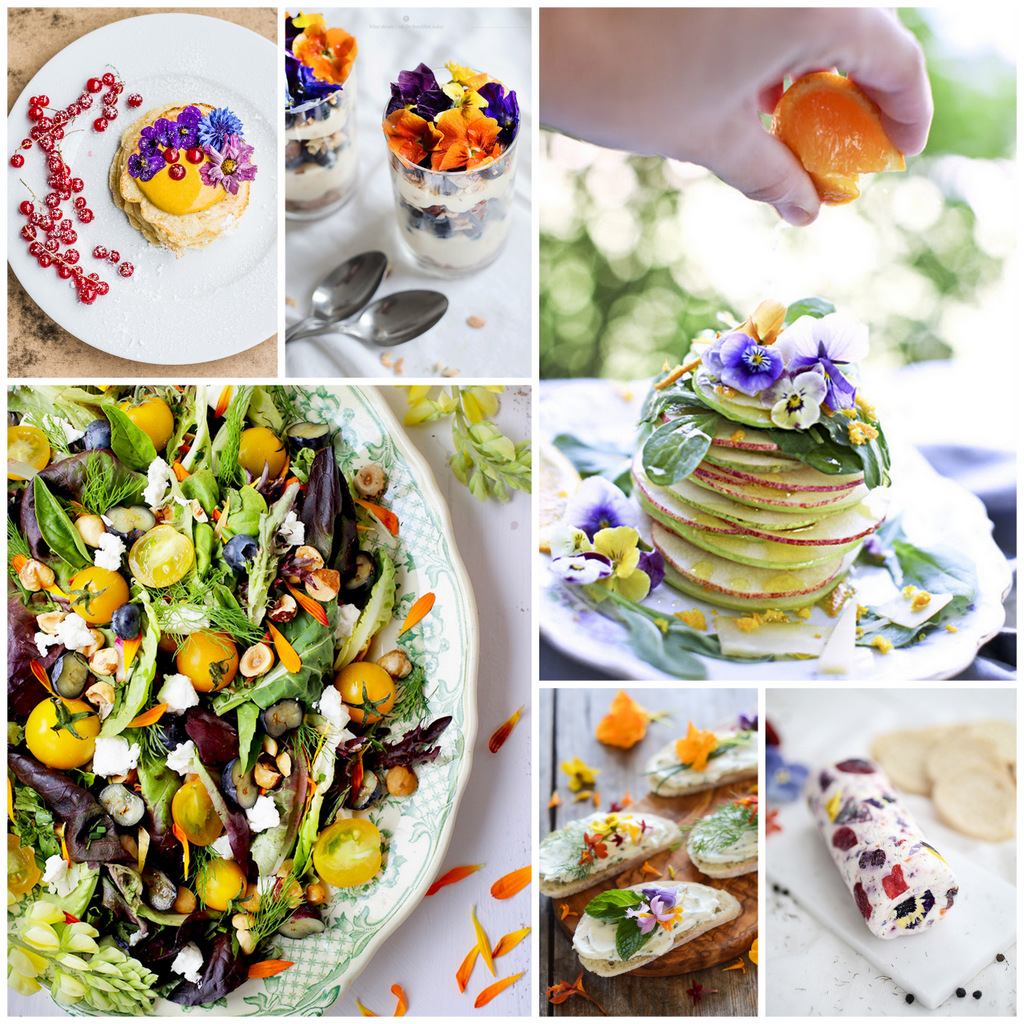 Creativity Unmasked Pretty (Delicious) Petals Edible Flower Recipe