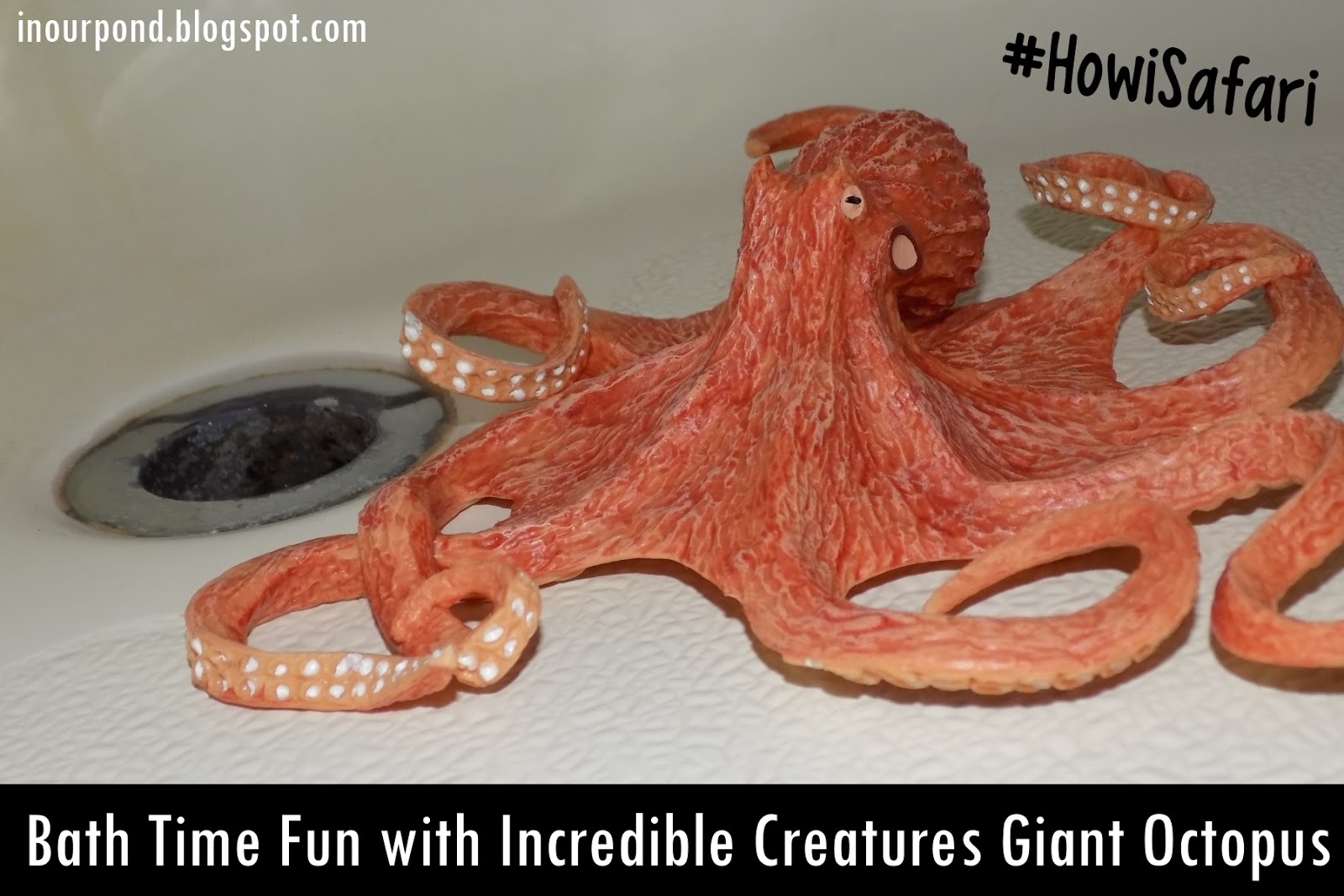 o is for octopus (year 3, week 23)