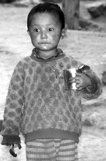 Ladakh, 1991