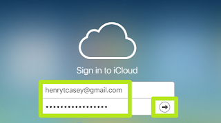 Apple ID credentials and click the sign-in arrow