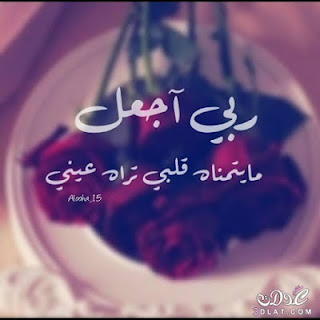 بوستات فيس بوستات فيس