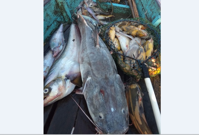 Musim Kemarau, Warga Akui Tangkapan Ikan Meningkat Musim Kemarau, Warga Akui Tangkapan Ikan Meningkat