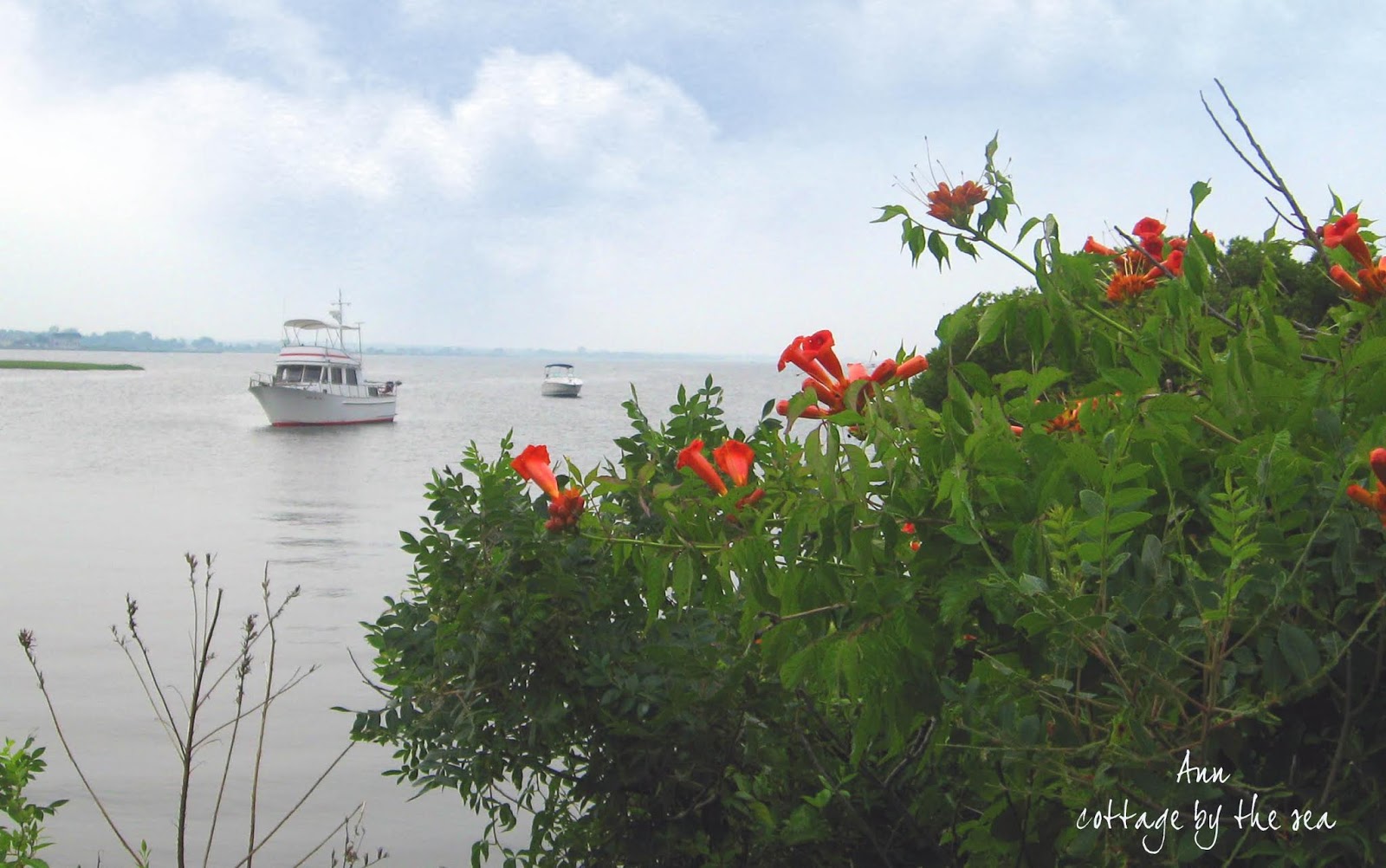 Cottage by the Sea 07/18