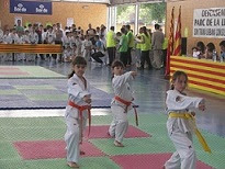 II CAMPEONATO DE TAEKWONDO DE CAN PARELLADA-2010