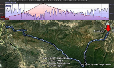 Cerro Viejo - Ruta / Alturas / Velocidad