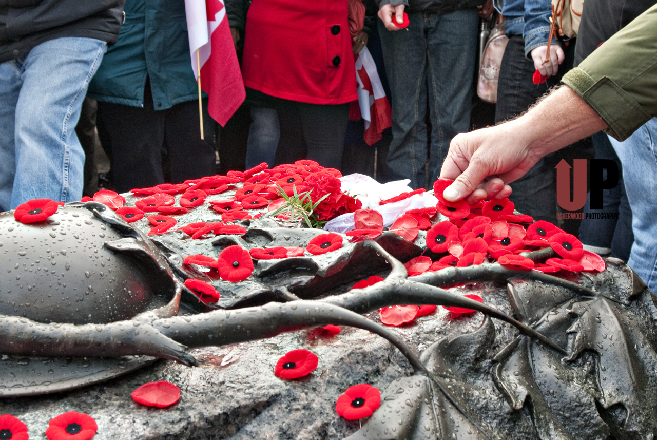 красный цвет войны. Remembrance day тед харрисон. день памяти в канаде. Remembrance day королева.