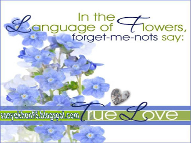 download flower love language pictures