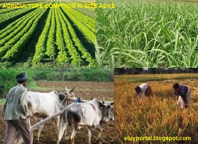 BASIC PRINCIPLES FOR CROP PRODUCTION VISIT ME INDIA basic-principles-for-crop-production-visit-me-india