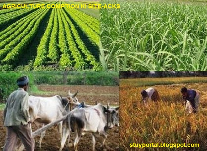 history of crop production in india essay