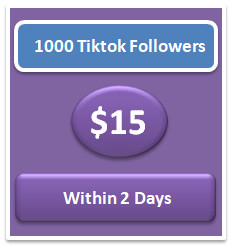 1000 boost tiktok followers