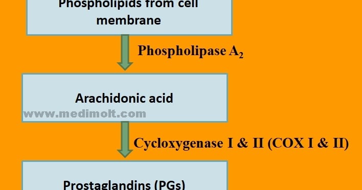 Analgesic Non Steridal Anti Inflammatory Drugs Narcotic Opioid Analgesia Opioid Receptor Salol Principle Medimolt