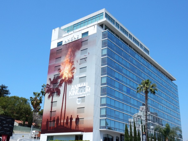 Giant Animal Kingdom series launch billboard Sunset Strip Giant Animal Kingdom series launch billboard Sunset Strip