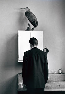 André Kertész (The Heron, 1969)