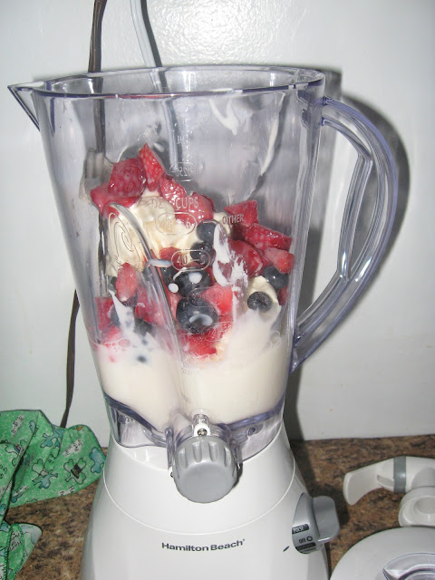Mixed Berry Milkshake