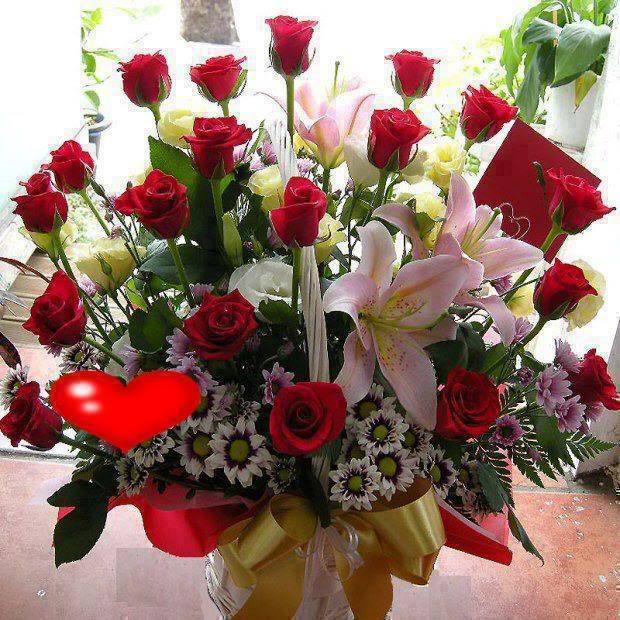Flowers: Valentines Day - Flower