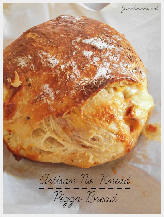 Artisan NoKnead Pizza Bread