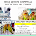 CARA MEMPREDIKSI JENIS KELAMIN LOVEBIRD