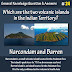 Which are the two volcanic islands in the Indian Territory?