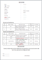 One Page Resume/CV Format with thumbnail