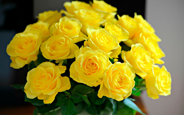 arti bunga mawar kuning