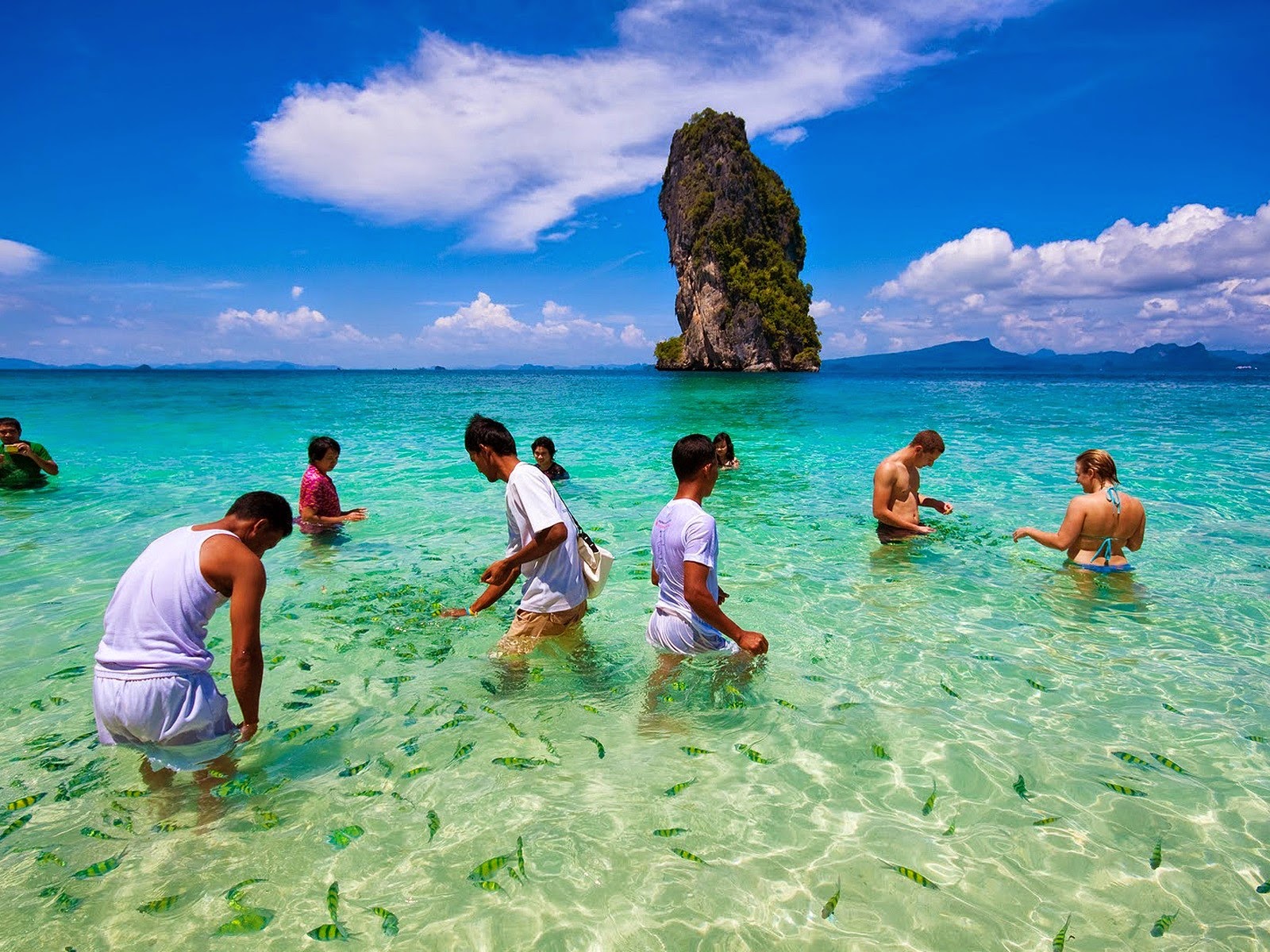 Таиланд море. Краби остров в Тайланде. Тайланд туристы. Остров Тачай в Тайланде. Пхукет Таиланд 2022.