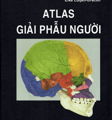 Atlas Giải phẫu người – Rohen&Yokochi – Bản Tiếng Việt Atlas Giải phẫu người – Rohen&Yokochi – Bản Tiếng Việt