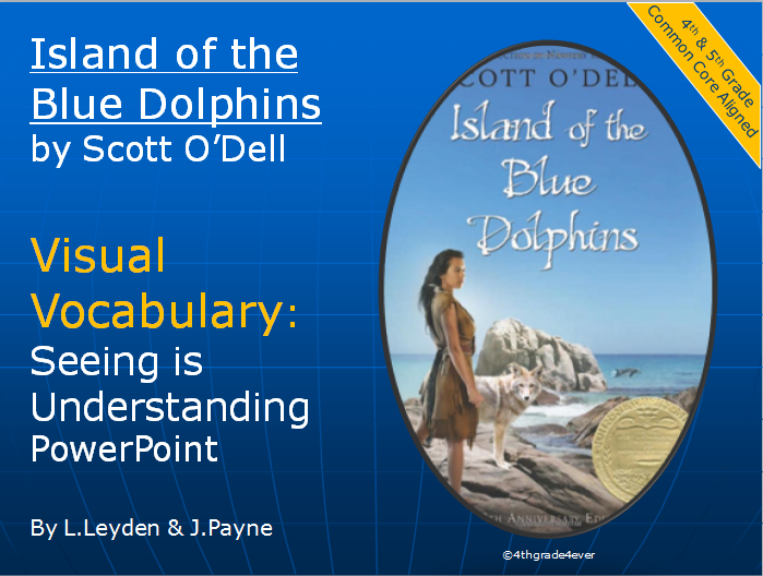 4th Grade 4ever: Island of the Blue Dolphins Visual Vocabulary: Seeing