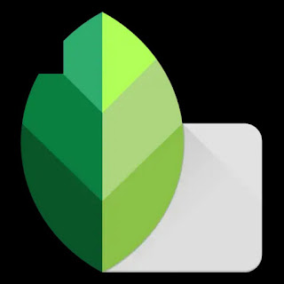 Snapseed Top Android language learning app