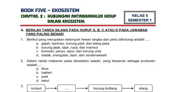 Soal essay ekosistem kelas 5 06 picture
