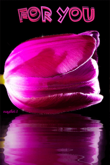 For+You.gif