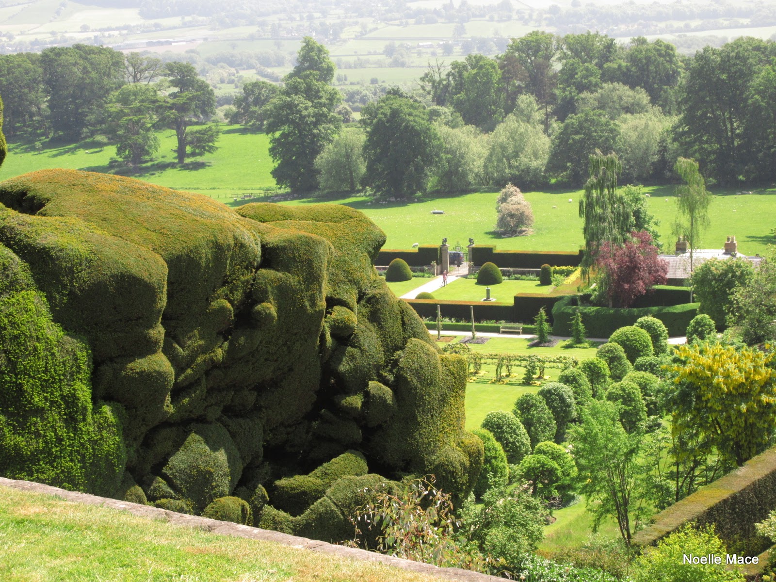 Stasher Powis Castle Gardens
