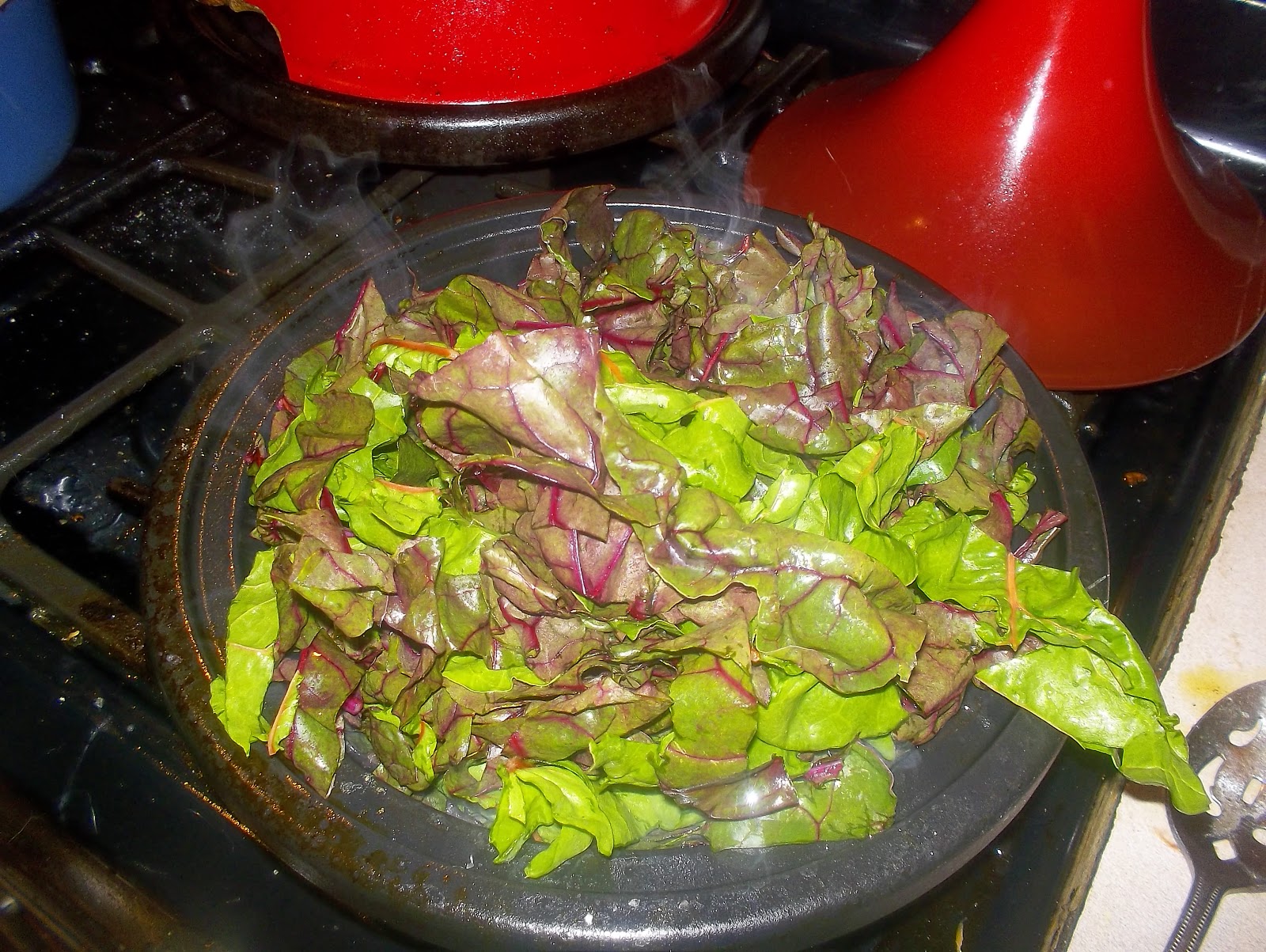 kyle+blog KNOW YOUR VEGETABLES