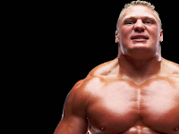 Brock Lesnar se aposenta