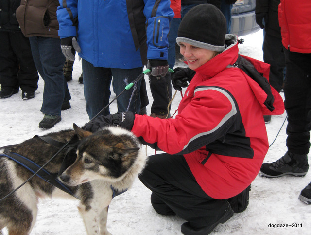 Iditarod Trail Comm. Dog Handler Class