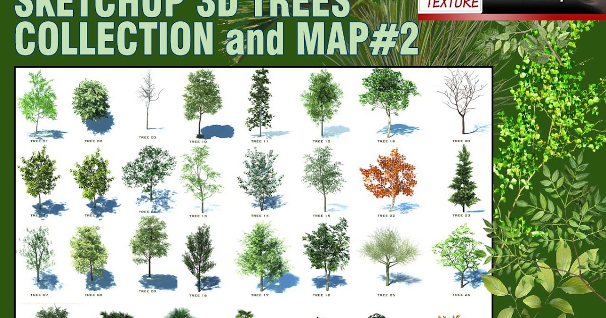 SKETCHUP 3D TREES COMPONENTS COLLECTION 2