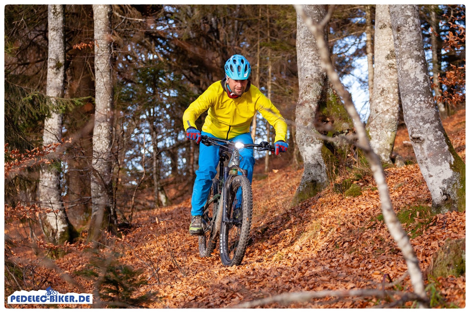 se floval flyer for sale