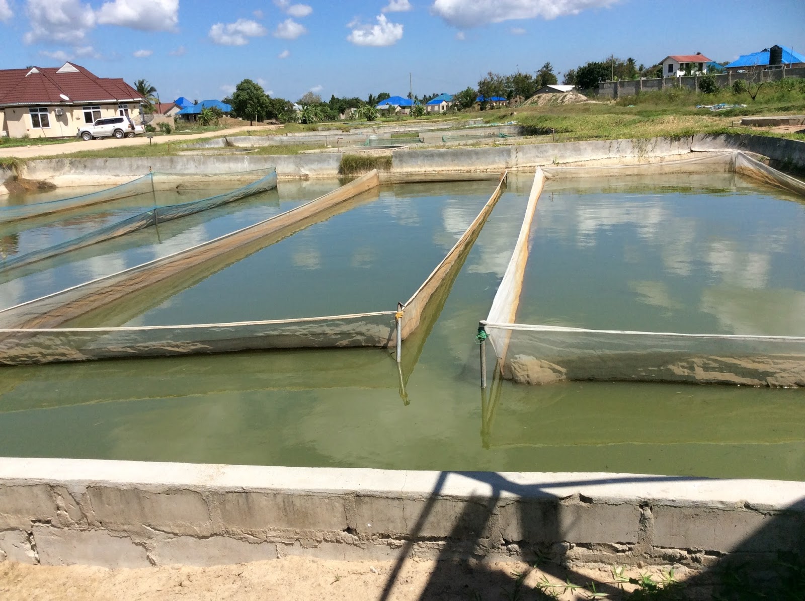 Mmanda Aqua Farming blog Eden AgriAqua Farming Centre, Tanzania
