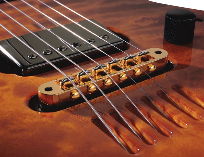 Guitar Leaks Electric guitars with acoustic pickups