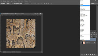Tutorial Adobe Photoshop Efek Ular Tutorial Adobe Photoshop Efek Ular