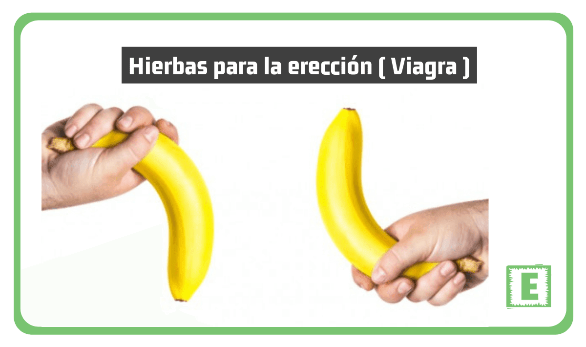 malos remedios para la erección
